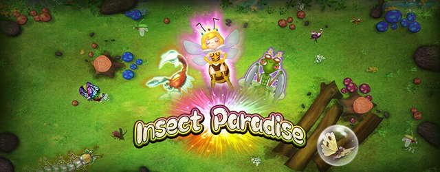 Insect Paradise